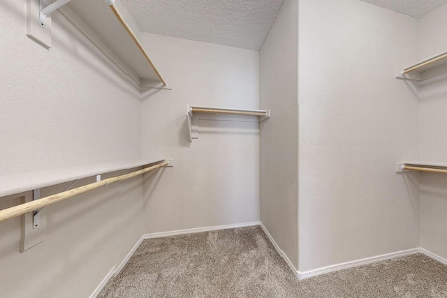 spacious closet featuring carpet floors