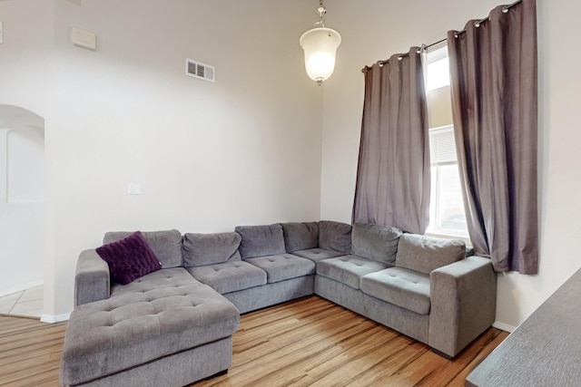 living room with hardwood / wood-style flooring and a wealth of natural light