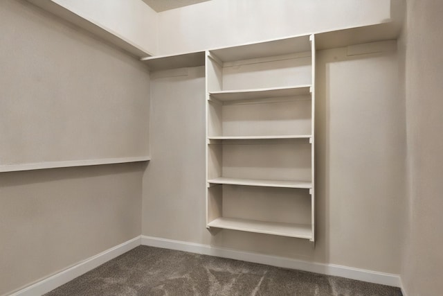 walk in closet featuring dark colored carpet