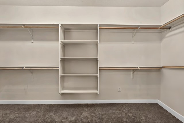 spacious closet featuring carpet floors