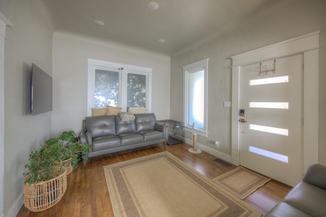 living room with hardwood / wood-style flooring