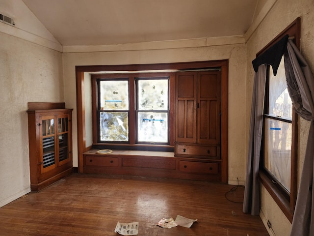 interior space with vaulted ceiling and dark wood-type flooring