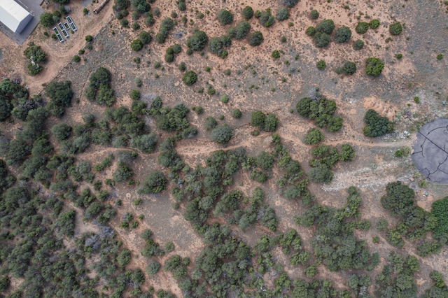 15 Soaring Hawk Ct, Tijeras, NM 87059