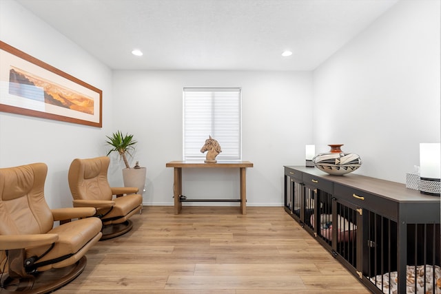 sitting room featuring light wood-type flooring