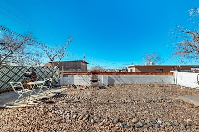 view of yard with a patio area