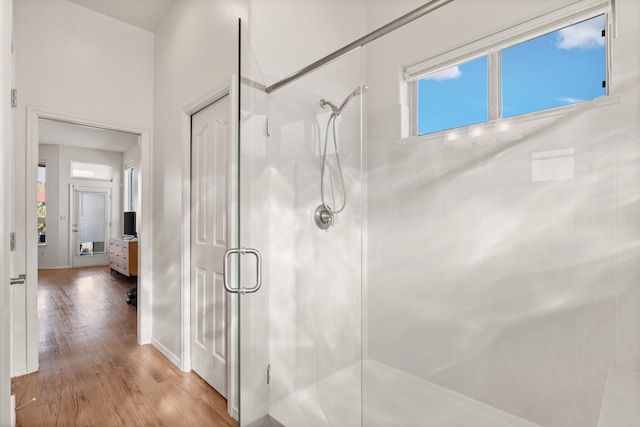 bathroom featuring wood-type flooring and walk in shower