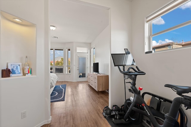 workout room with hardwood / wood-style flooring