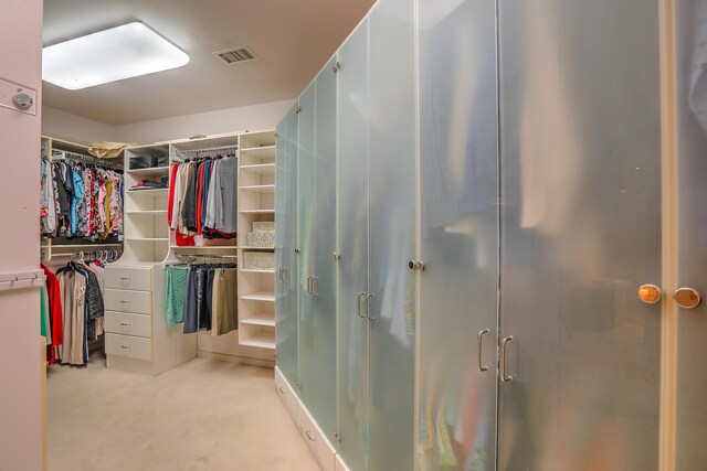 11701 San Rafael Ave NE, Albuquerque, NM 87122 - view of walk in closet