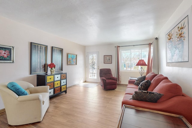 living room with light wood-type flooring