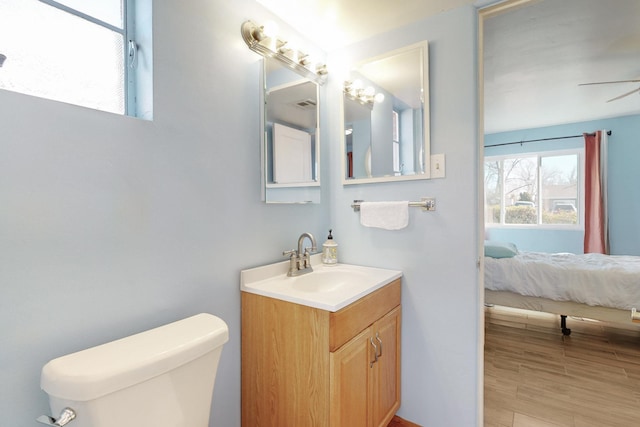 bathroom with vanity, wood-type flooring, and toilet