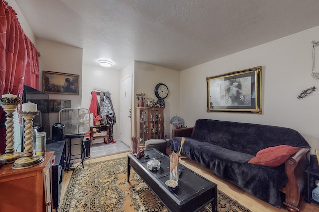 living room with a textured ceiling