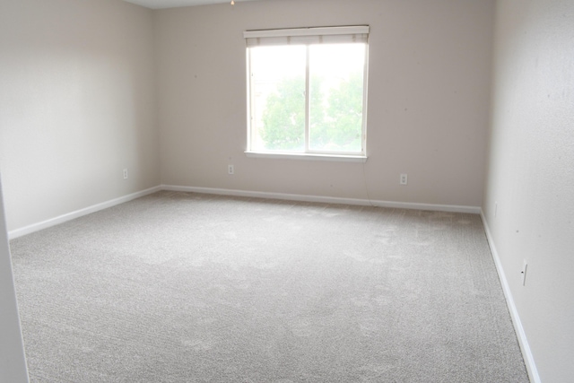 empty room featuring carpet flooring