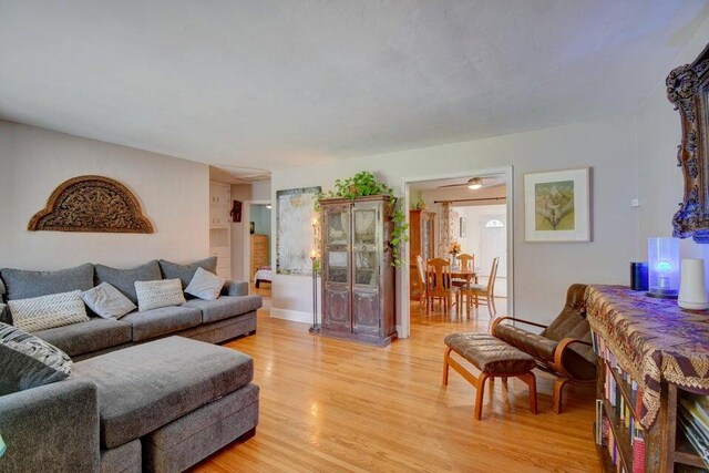 living room featuring light wood finished floors