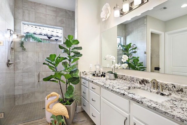 bathroom featuring walk in shower, a healthy amount of sunlight, and vanity