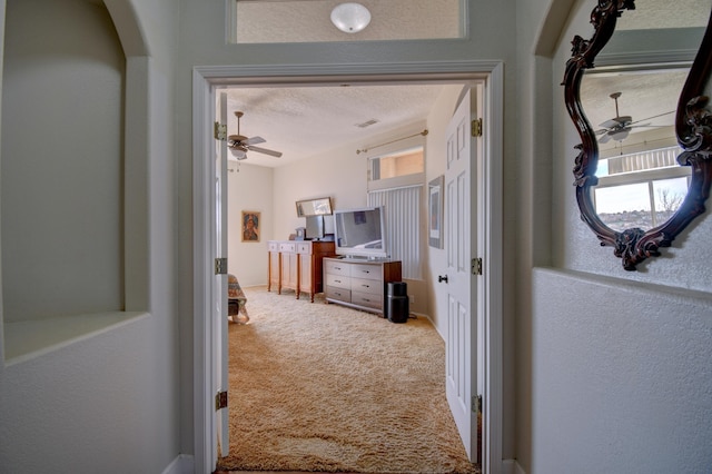 hallway with a textured ceiling, a healthy amount of sunlight, and carpet