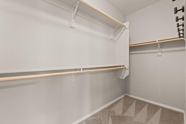 spacious closet with carpet floors