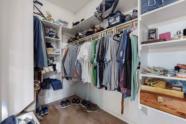 view of walk in closet