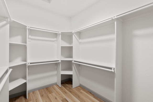 walk in closet featuring light hardwood / wood-style flooring