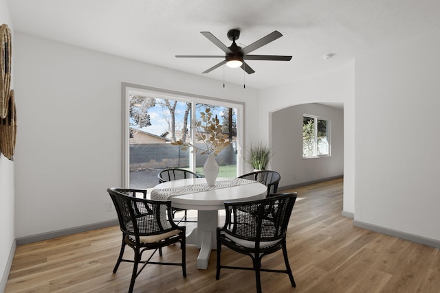 dining area featuring light hardwood / wood-style flooring and ceiling fan