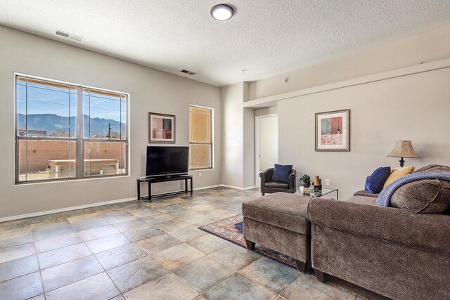 living room featuring a textured ceiling