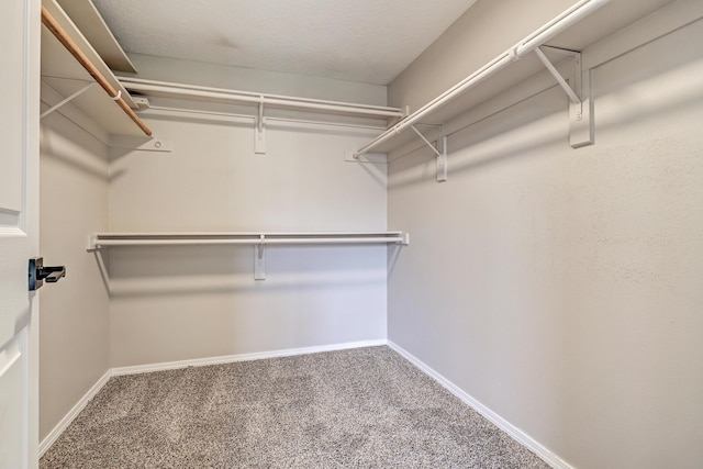 walk in closet featuring carpet flooring