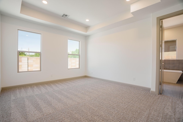 carpeted empty room featuring a raised ceiling