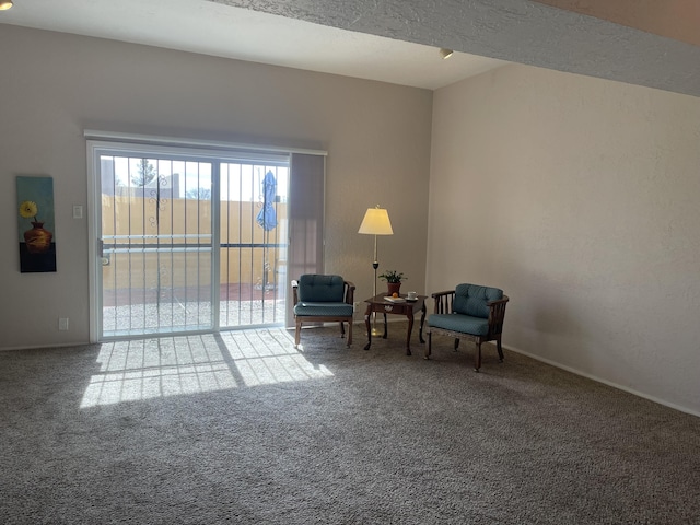 sitting room featuring carpet floors