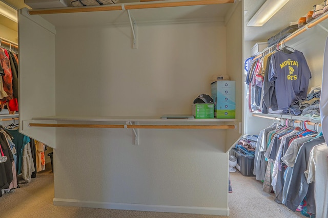 walk in closet with light colored carpet