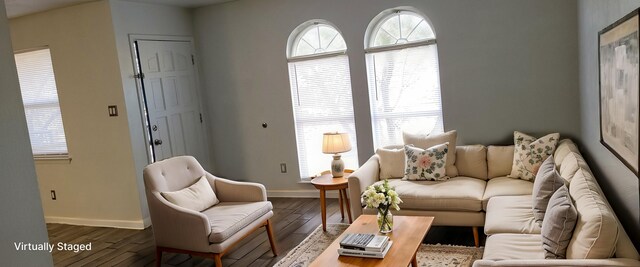 living room with a wealth of natural light and hardwood / wood-style floors