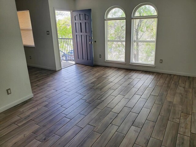 entrance foyer with wood-type flooring