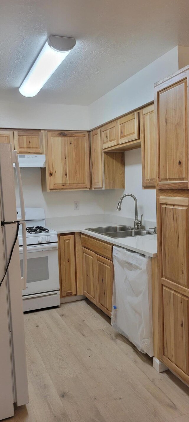 kitchen featuring sink, a textured ceiling, white appliances, and light hardwood / wood-style floors