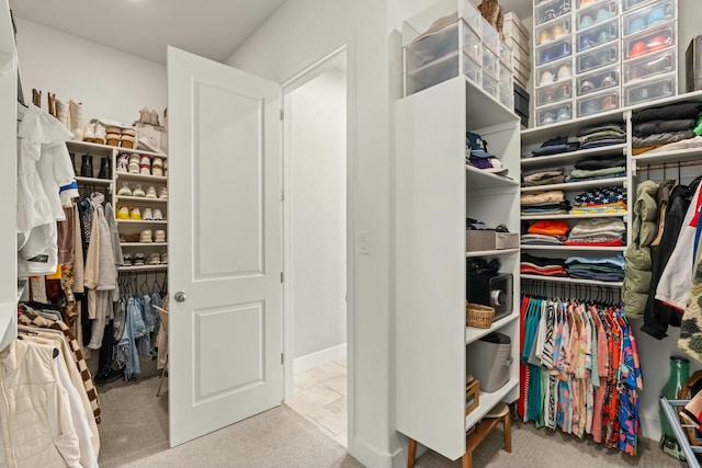 spacious closet with light colored carpet