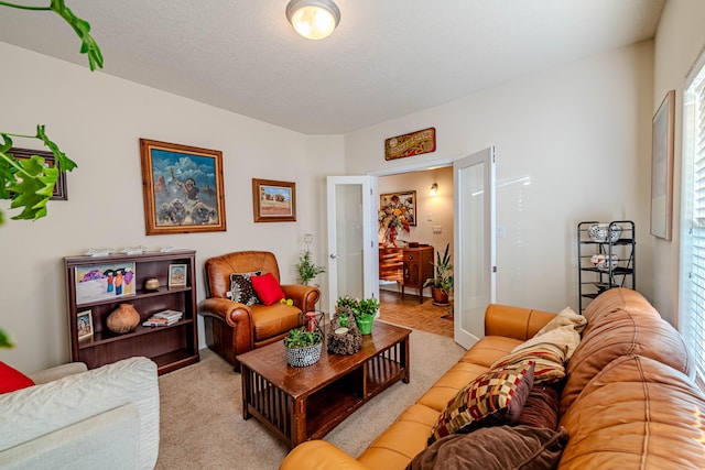 carpeted living room with a textured ceiling