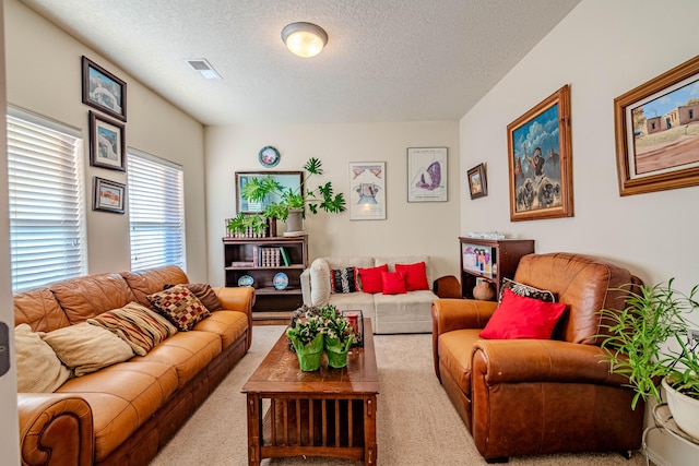 carpeted living room with a textured ceiling