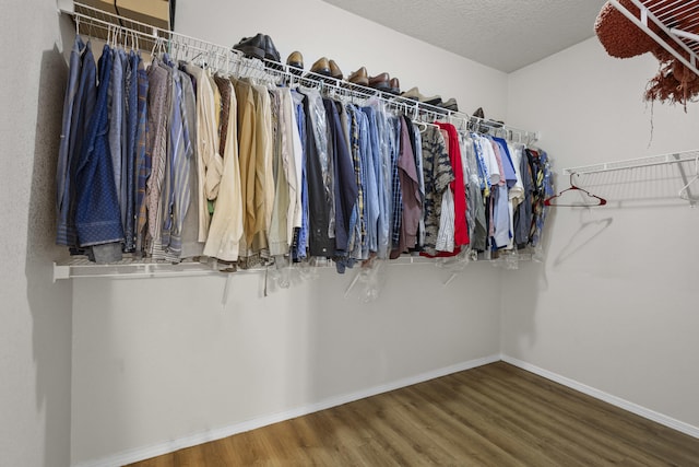 spacious closet with wood-type flooring