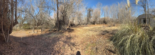 view of local wilderness