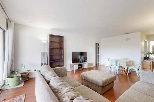 living room featuring wood-type flooring