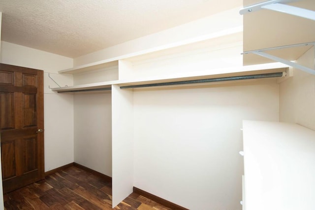 walk in closet featuring dark wood-style floors