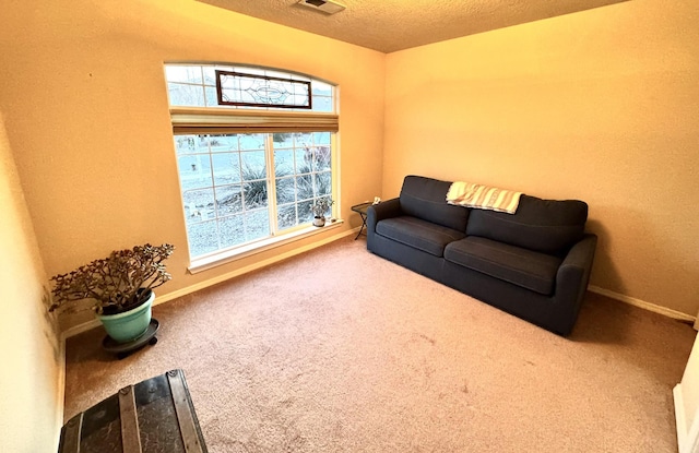 carpeted living room featuring a textured ceiling