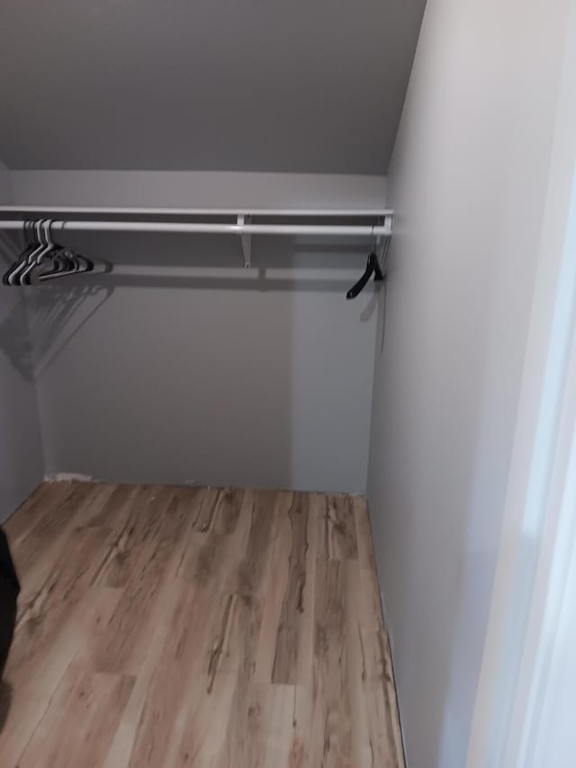 walk in closet with light hardwood / wood-style flooring