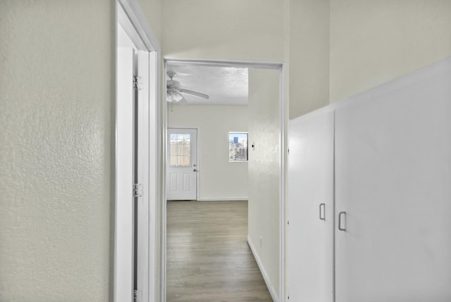 hallway featuring light hardwood / wood-style flooring