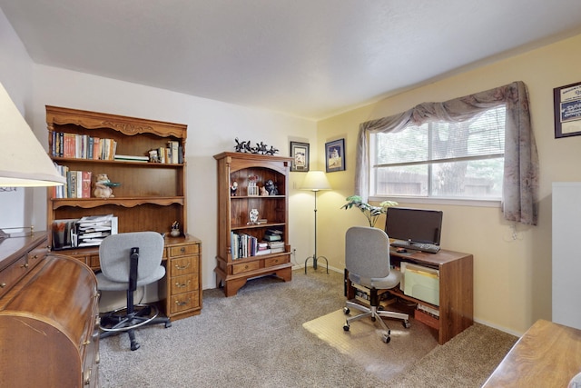 home office featuring light colored carpet