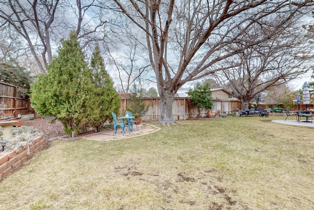 view of yard with a patio area and a fenced backyard