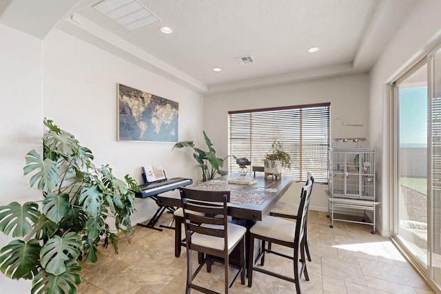 dining space with a tray ceiling and plenty of natural light