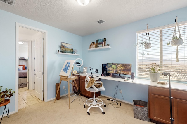 office with a textured ceiling, light colored carpet, and a healthy amount of sunlight