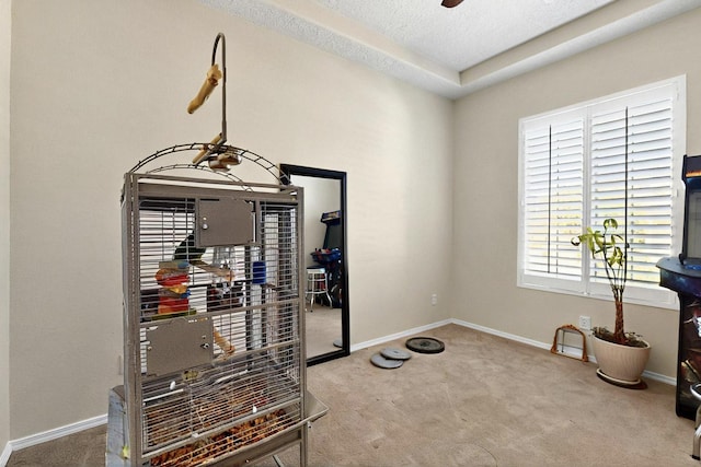 836 Mesa Roja Trl NE, Rio Rancho, NM 87144 - home office featuring carpet flooring, baseboards, and a ceiling fan