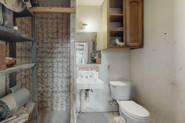 bathroom featuring toilet and sink