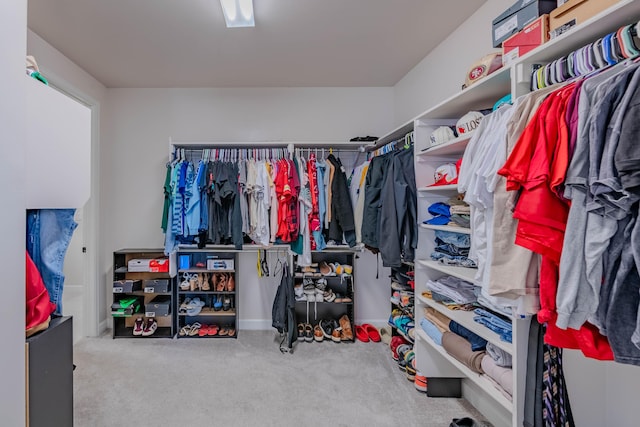 spacious closet with light colored carpet