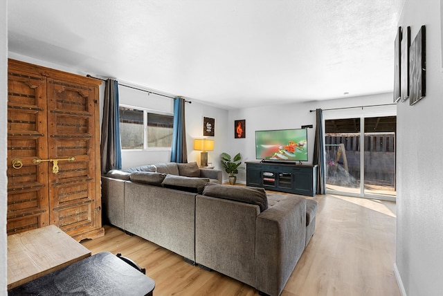 living room featuring light hardwood / wood-style flooring and a textured ceiling