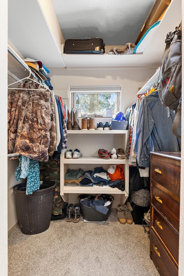 walk in closet featuring carpet